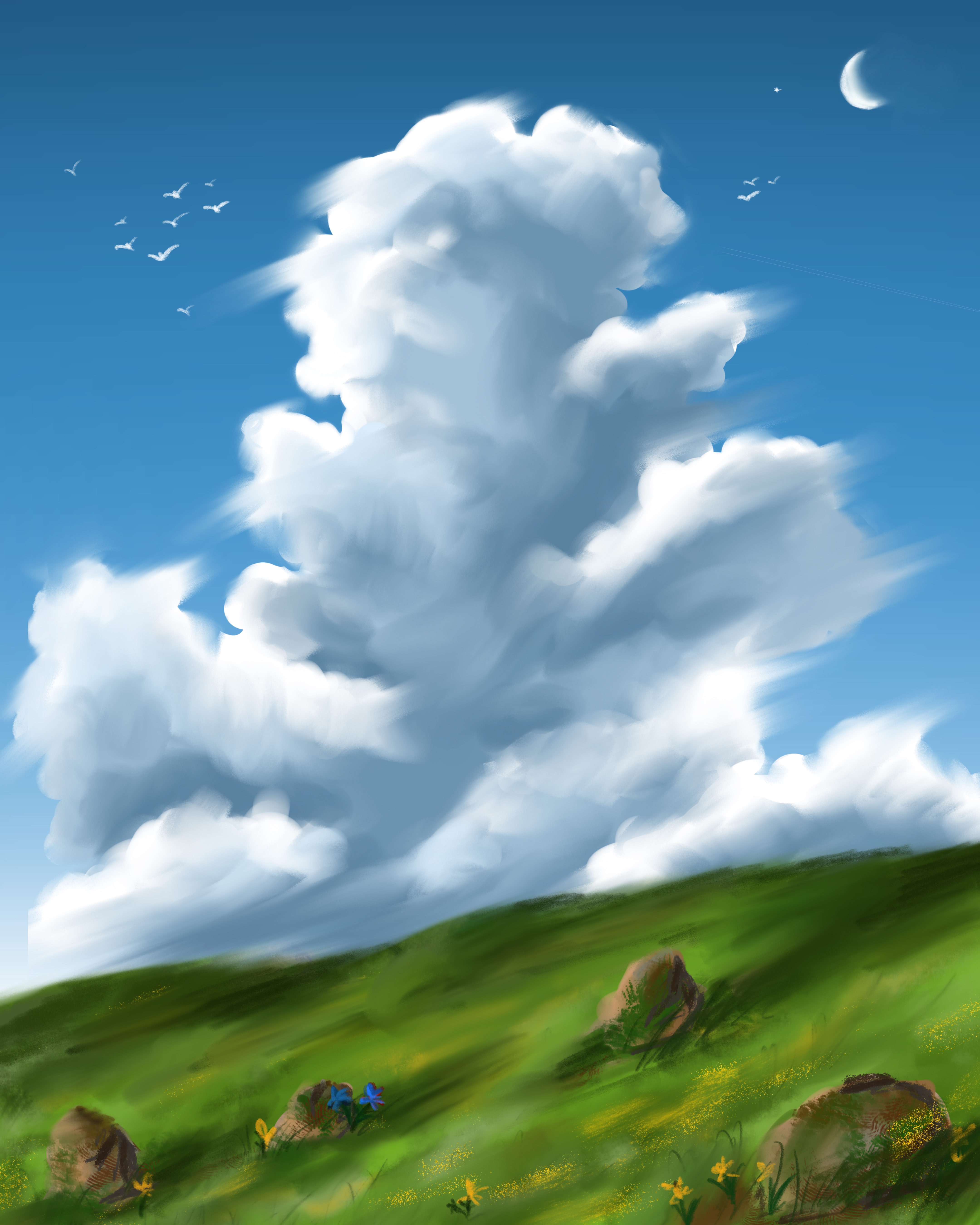 Cloudy Grassland